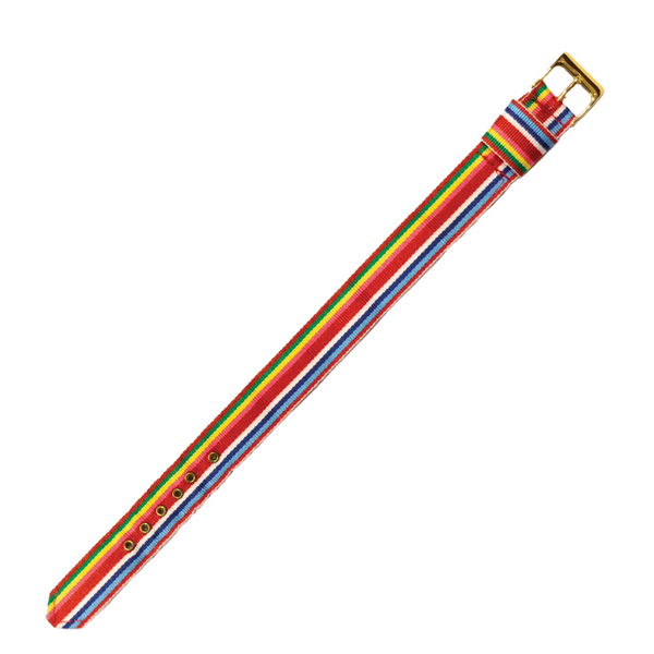 Multi-Color Stripe Watchband